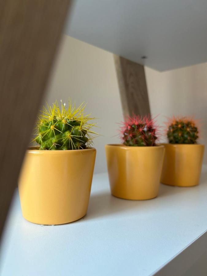 Apartman Teodora Суботица Екстериор снимка