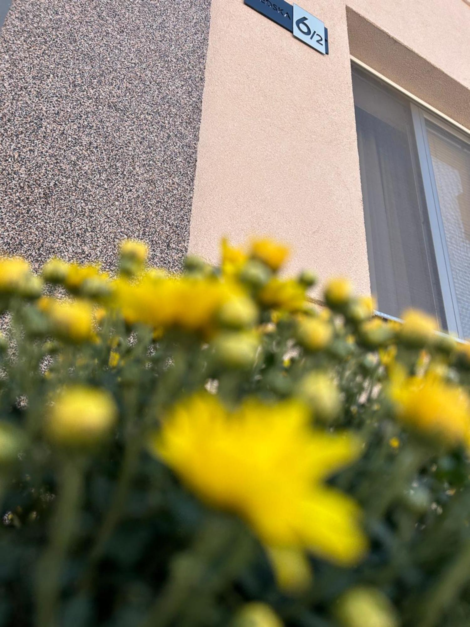 Apartman Teodora Суботица Екстериор снимка
